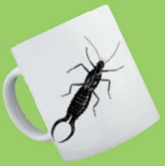 Buy a Bug Mug!